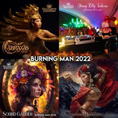 Naughty Princess - Burning Man 2022 Sets