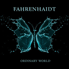 Ordinary World