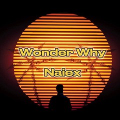 Wonder Why - Naiex