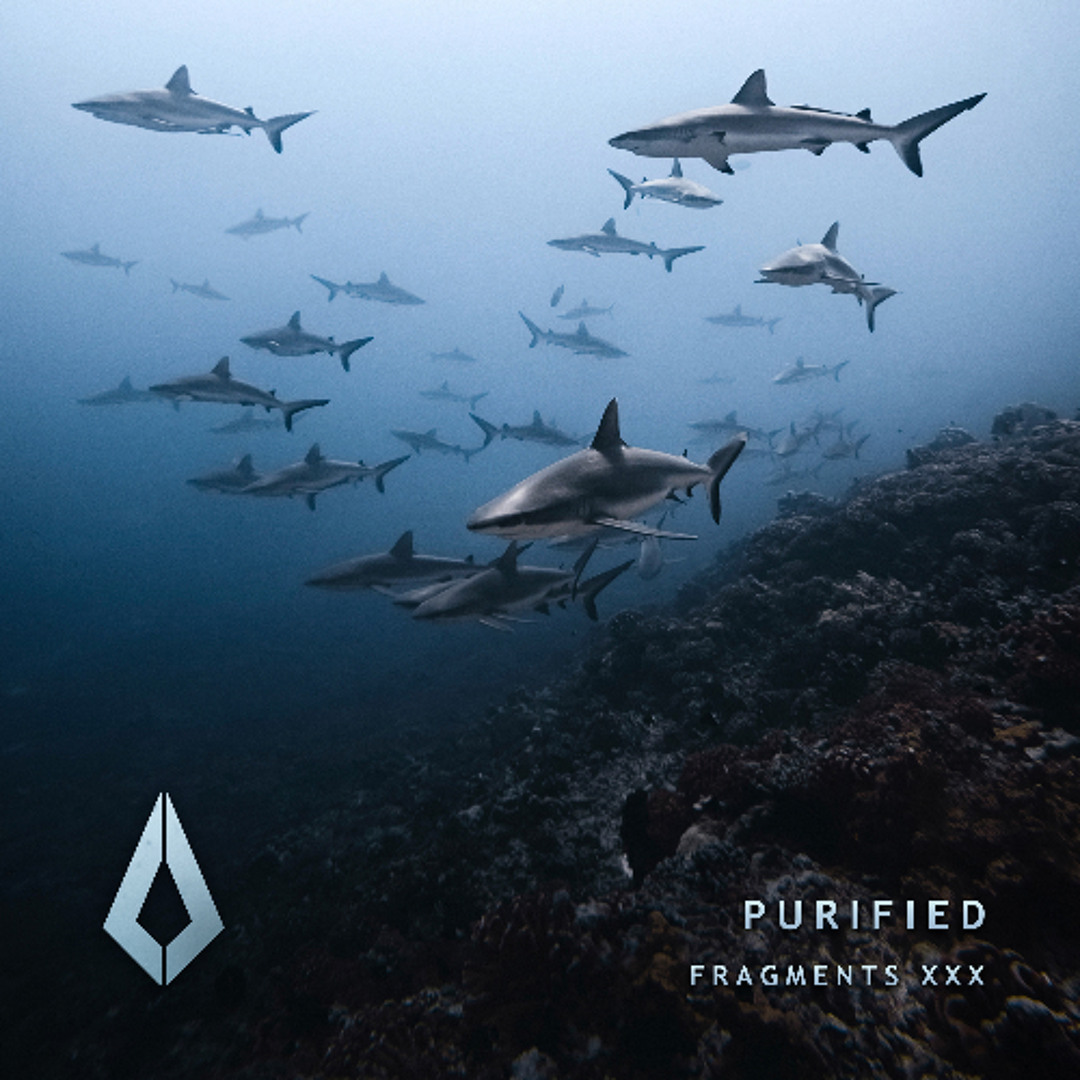Stream Purified Records | Listen to Fragments XXX playlist