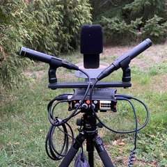 Lewitt 440 pure vs sE8 condenser mics