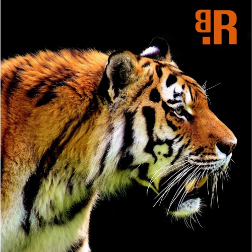 Mark Taylor - WILD AND FREE LIVE AT THE BLIND TIGER