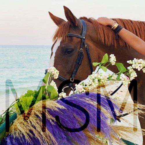 ‎⁨أصالة- كبير الشوق⁩