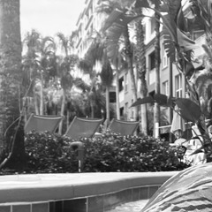 im_still_dreaming_about_you