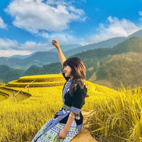 Hát Về Cây Lúa Remix