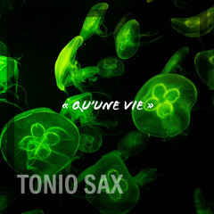 Qu’une vie