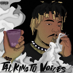 Talking To Voices