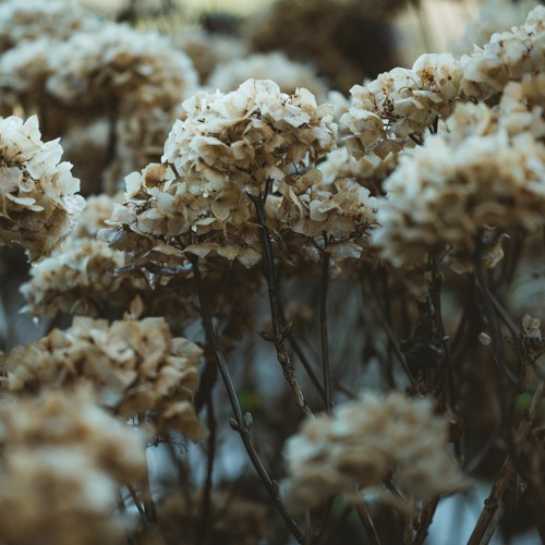 Frozen and Fragile