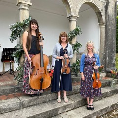 The String Trio