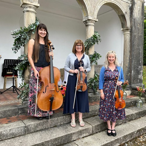The String Trio