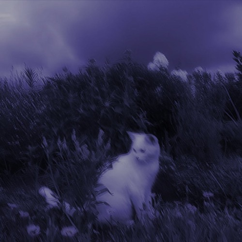 Øneheart - This Feeling Slowed (loop)