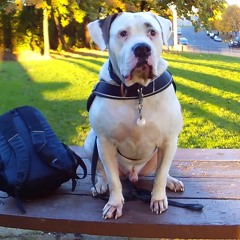 I Remember Our Last Goodbye