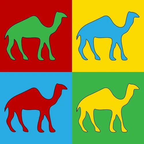Camel - Dr Gii