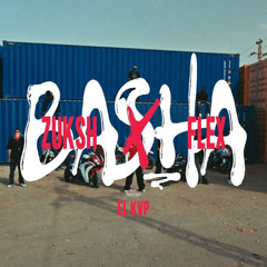 باشا - زوكش وفليكس