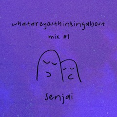 whatareyouthinkingabout mix #1 - senjai