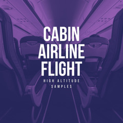 Cabin Airline Flight