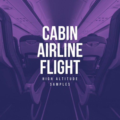 Cabin Airline Flight