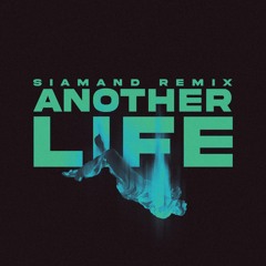 Naomi Sharon - Another Life (Siamand Remix)