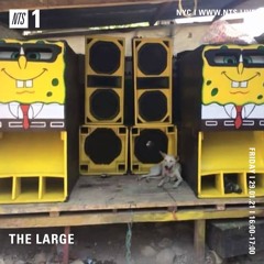 The Large - NTS January 2021