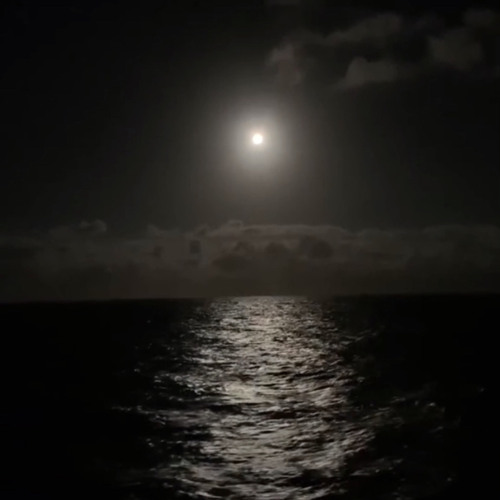 mitch match nike shoes