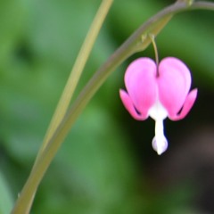 BluePenA