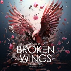 Mr. Mister - Broken Wings (Tech Beat Remix)
