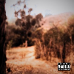 presence (prod. caelus)
