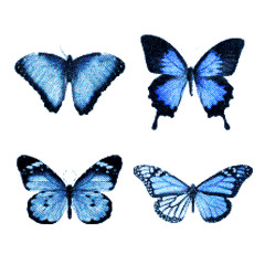 I GOT BUTTERFLYS - Harvey X2
