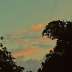 Afternoons