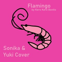 【Vocaloid Cover】 Flamingo 【Sonika & Kaai Yuki】