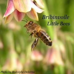 Little Bees