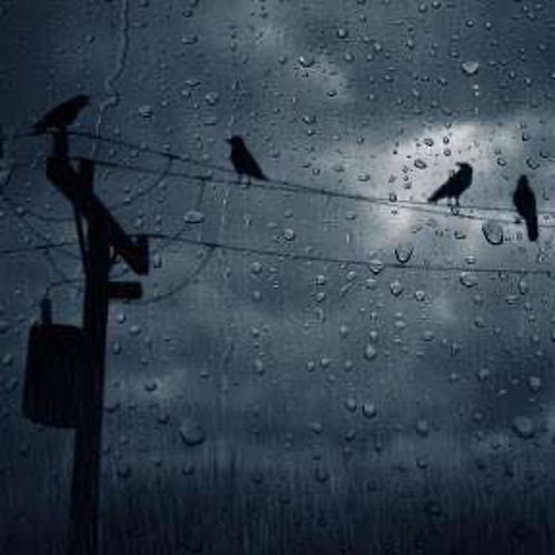 Rainstorm ft. Prince Lockett