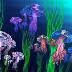 DEEP DNB, JUNGLE set -Jellyfish1-