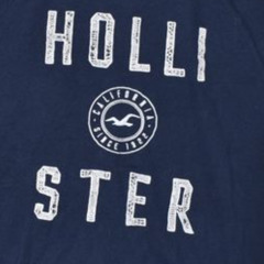 Hollister Year