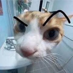 @Odetari-Dress to Impress (prod.poodee x Spirit)