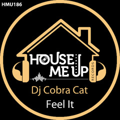 DJ Cobra Cat - Feel It