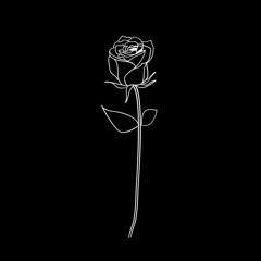 Black rose