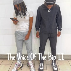 No Stylist Ft. NyBandzz