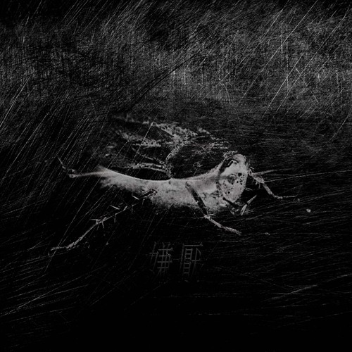 Stream Kikaichū by Biomass | Listen online for free on SoundCloud