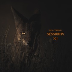 Sessions XI