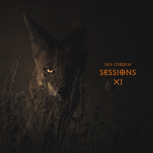Sessions XI