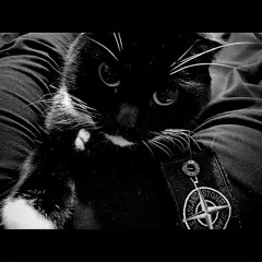KRBK - Стрела