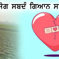 ਜੋਗ ਸਬਦੰ ਗਿਆਨ ਸਬਦੰ • Gurmat Vichar • Dharam Singh Nihang Singh • Sach Khoj Academy #sachkhojacademy