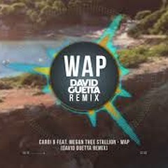 Cardi B - WAP (David Guetta Remix) [feat. Megan Thee Stallion]