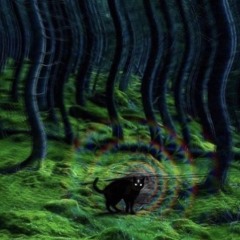 Matrice Tribal  Pt 1