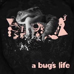 A Bug's Life, Concluded