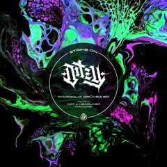 T-PREMIERE: DIT ZY - Non Essere Cattivo (Not A Headliner Remix) [STK006]