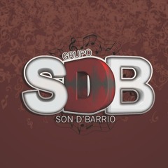 Grupo Son D' Barrio- Una Hembra No Llora (WWW.MUSICAENVIVOPR.COM)