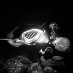 Celebrate Life by Sean Brosnan