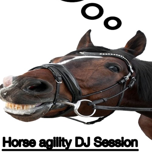 Juan Caballo B2B Juan Caballo